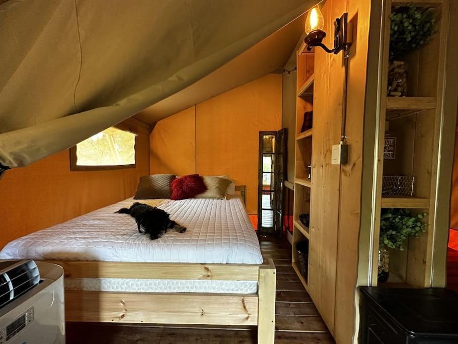 12 Fires Luxury Glamping With Heating #5 Hotel Johnson City Exterior foto